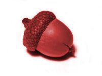 Test Standard Artikel 2